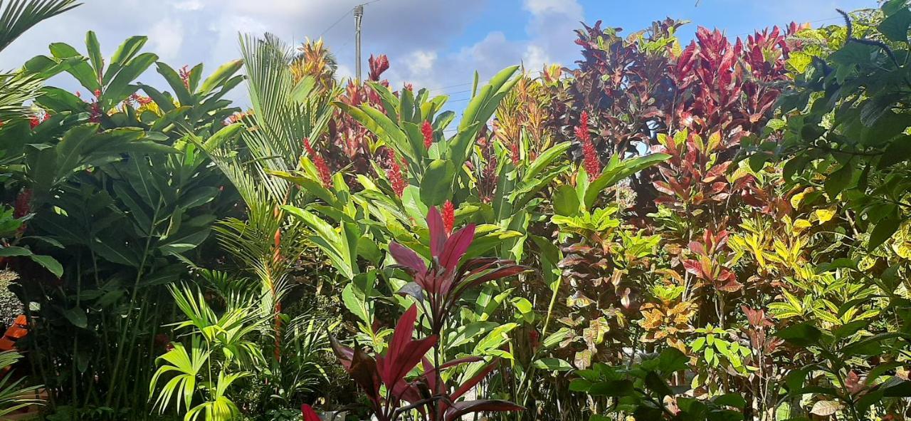 לינה וארוחת בוקר ביחגואה Jardin Entre Montanas מראה חיצוני תמונה