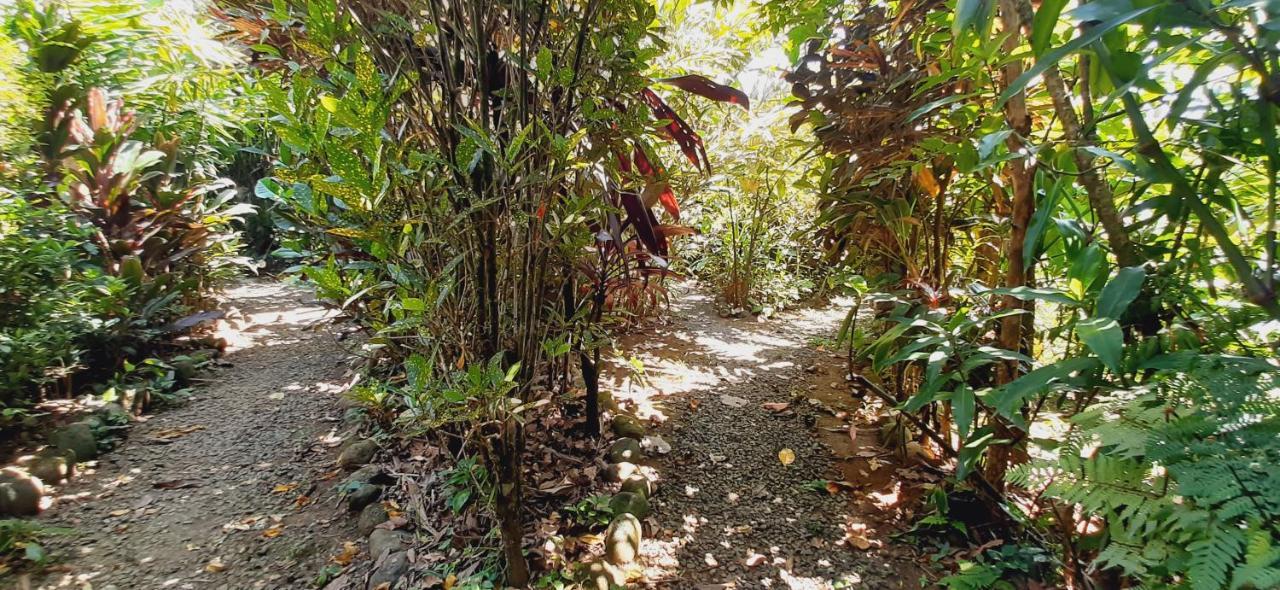 לינה וארוחת בוקר ביחגואה Jardin Entre Montanas מראה חיצוני תמונה