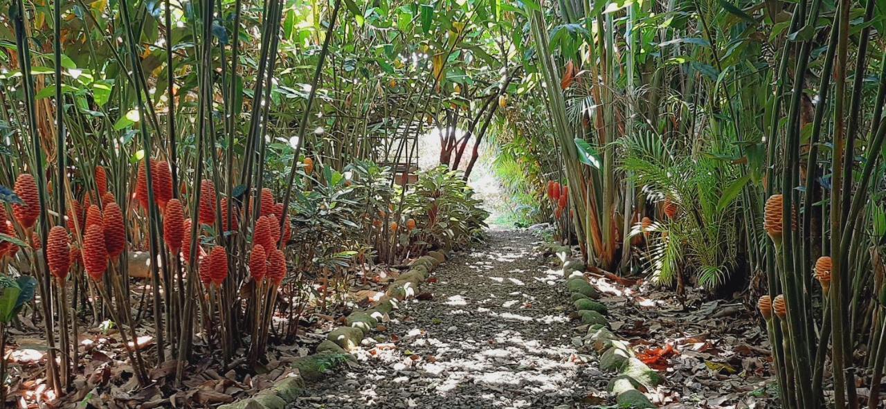 לינה וארוחת בוקר ביחגואה Jardin Entre Montanas מראה חיצוני תמונה