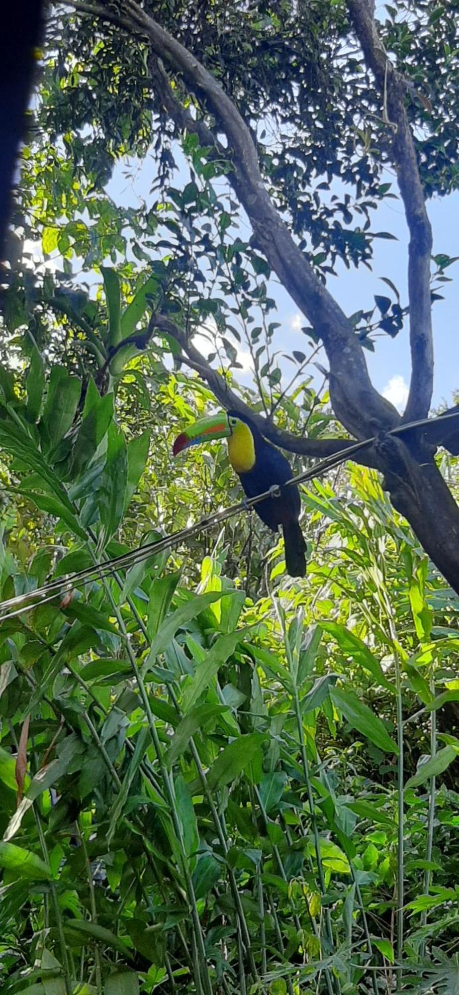 לינה וארוחת בוקר ביחגואה Jardin Entre Montanas מראה חיצוני תמונה
