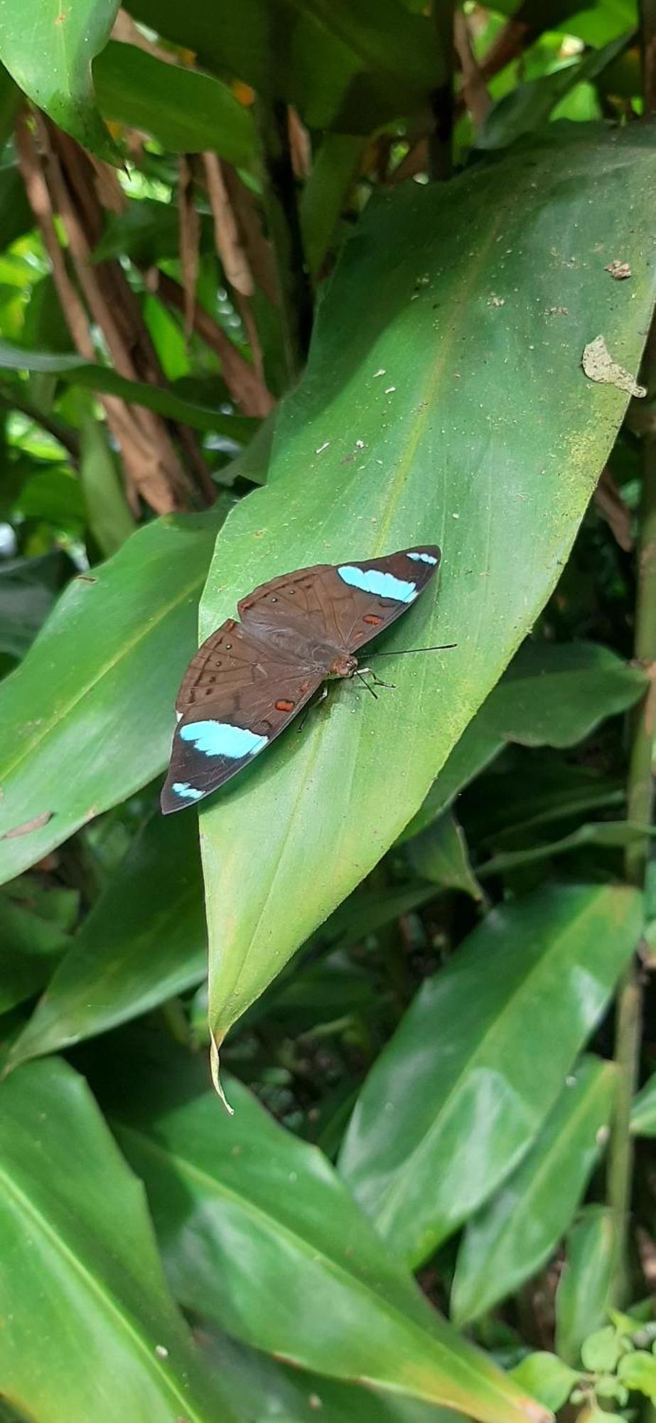 לינה וארוחת בוקר ביחגואה Jardin Entre Montanas מראה חיצוני תמונה